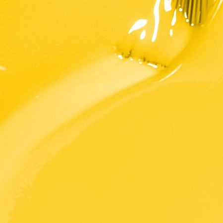 OPI Exotic Birds Don't Tweet