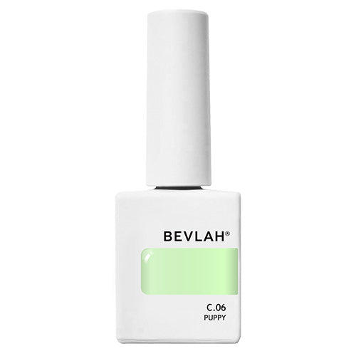 Bevlah Puppy