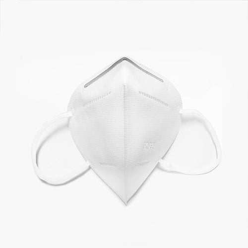 KN95 Face Masks (2 pack)