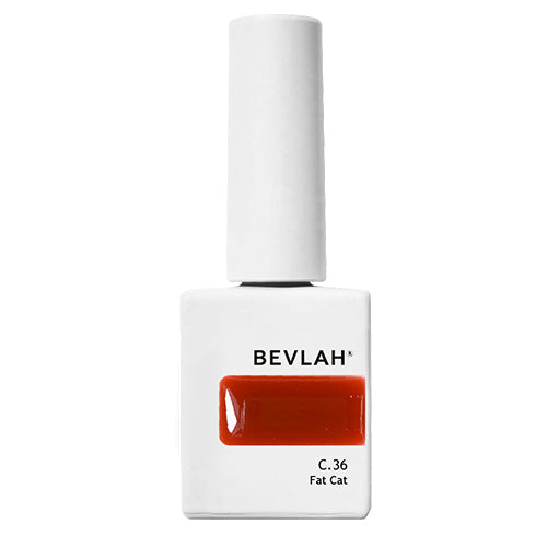 Bevlah Fat Cat