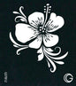 G Body Art Basic Stencils